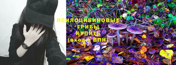 меф Пересвет