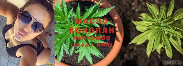 крисы Пестово