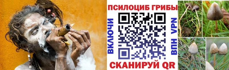 купить наркотики цена  Чулым  Галлюциногенные грибы Psilocybine cubensis 